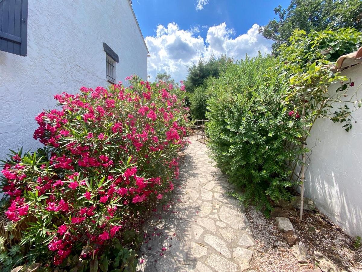 Chambres D'Hotes Le Mas Du Bijou Bleu Puget-sur-Argens Esterno foto