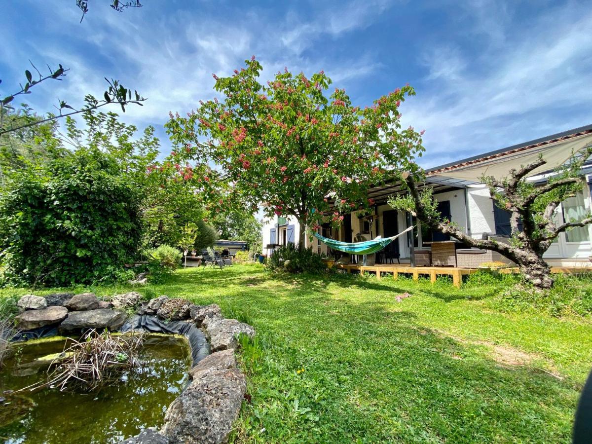 Chambres D'Hotes Le Mas Du Bijou Bleu Puget-sur-Argens Esterno foto