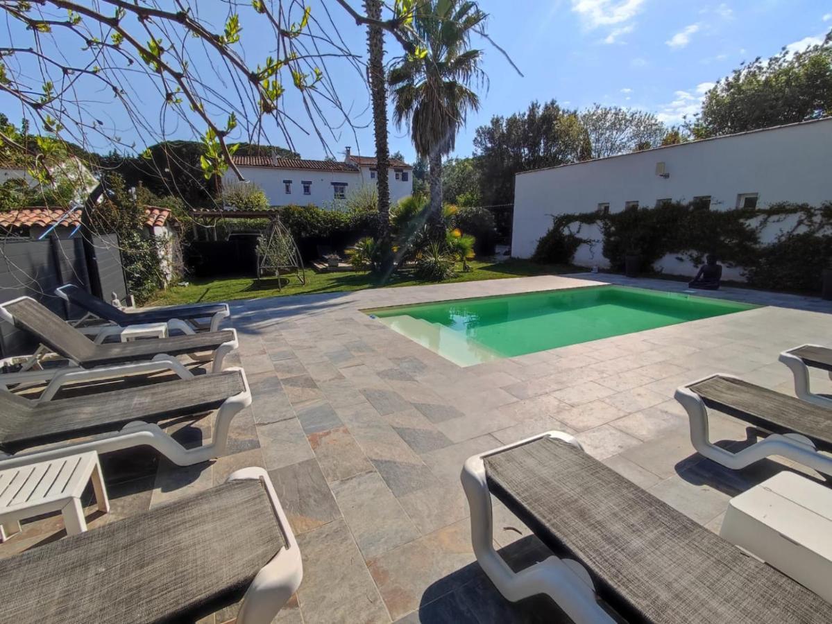 Chambres D'Hotes Le Mas Du Bijou Bleu Puget-sur-Argens Esterno foto