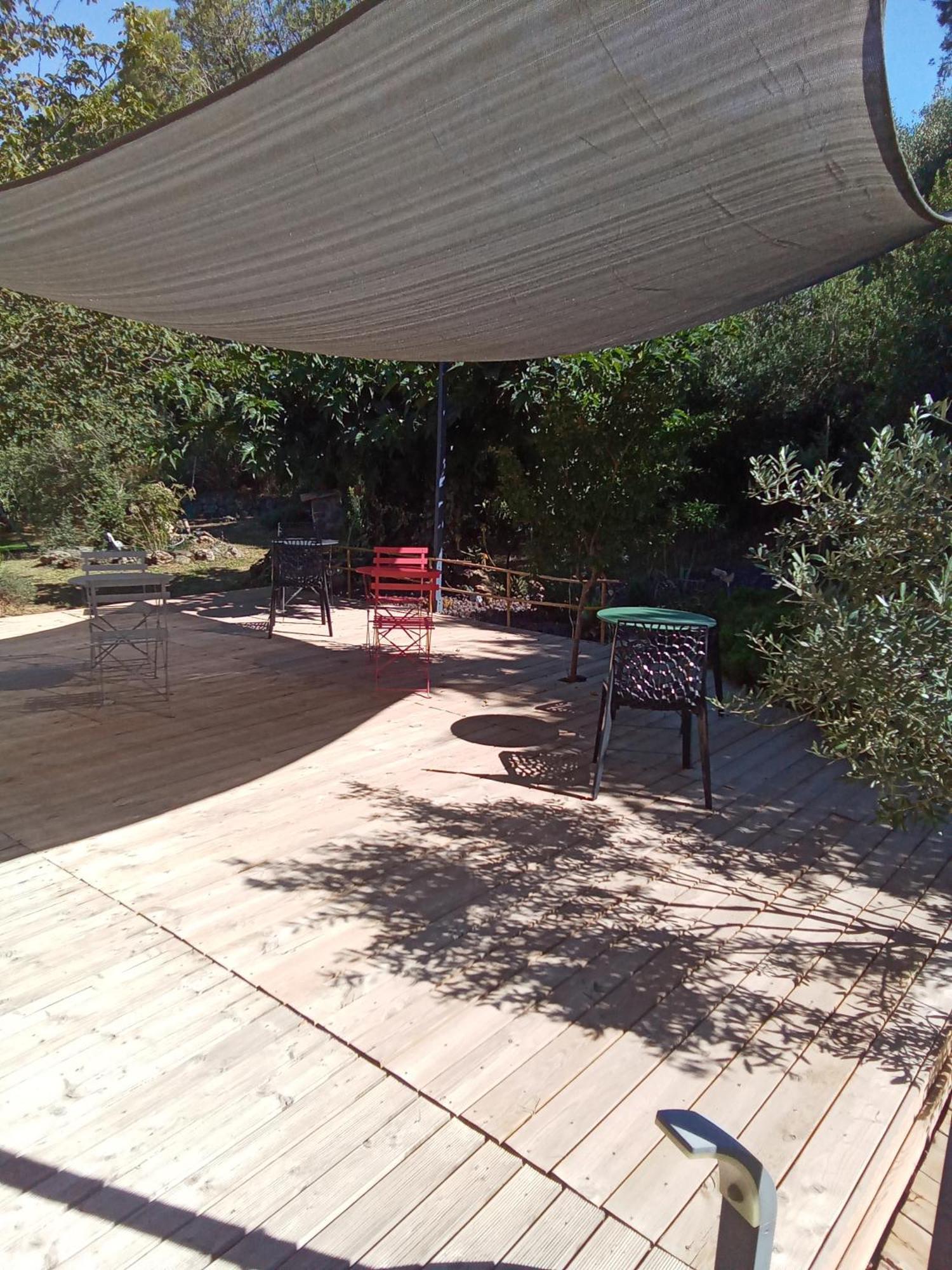 Chambres D'Hotes Le Mas Du Bijou Bleu Puget-sur-Argens Esterno foto