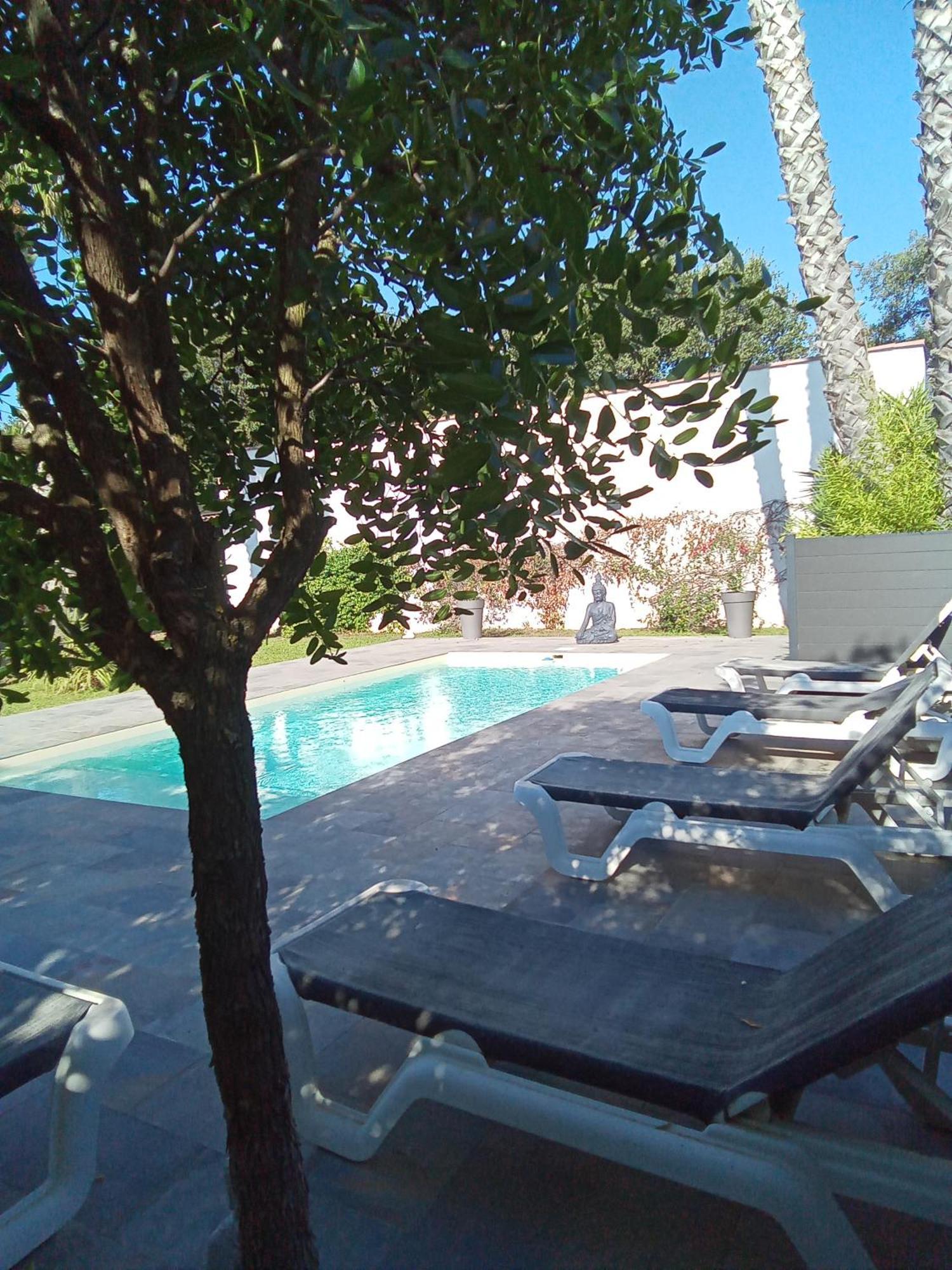 Chambres D'Hotes Le Mas Du Bijou Bleu Puget-sur-Argens Esterno foto