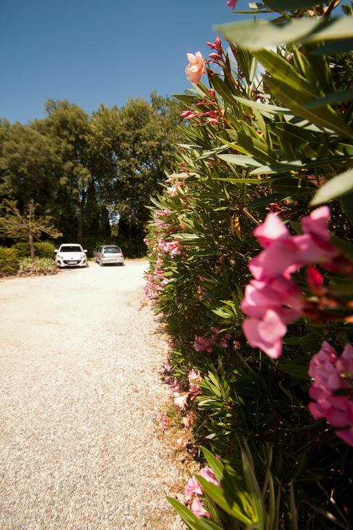 Chambres D'Hotes Le Mas Du Bijou Bleu Puget-sur-Argens Esterno foto